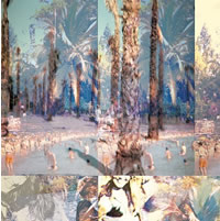 Portadas del single /></p> <ul> <li><b>Jeans Wilder / Best Coast</b>. <i>Split</i>. 7